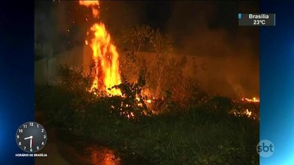 Estado do Pará é recordista de queimadas em 2017