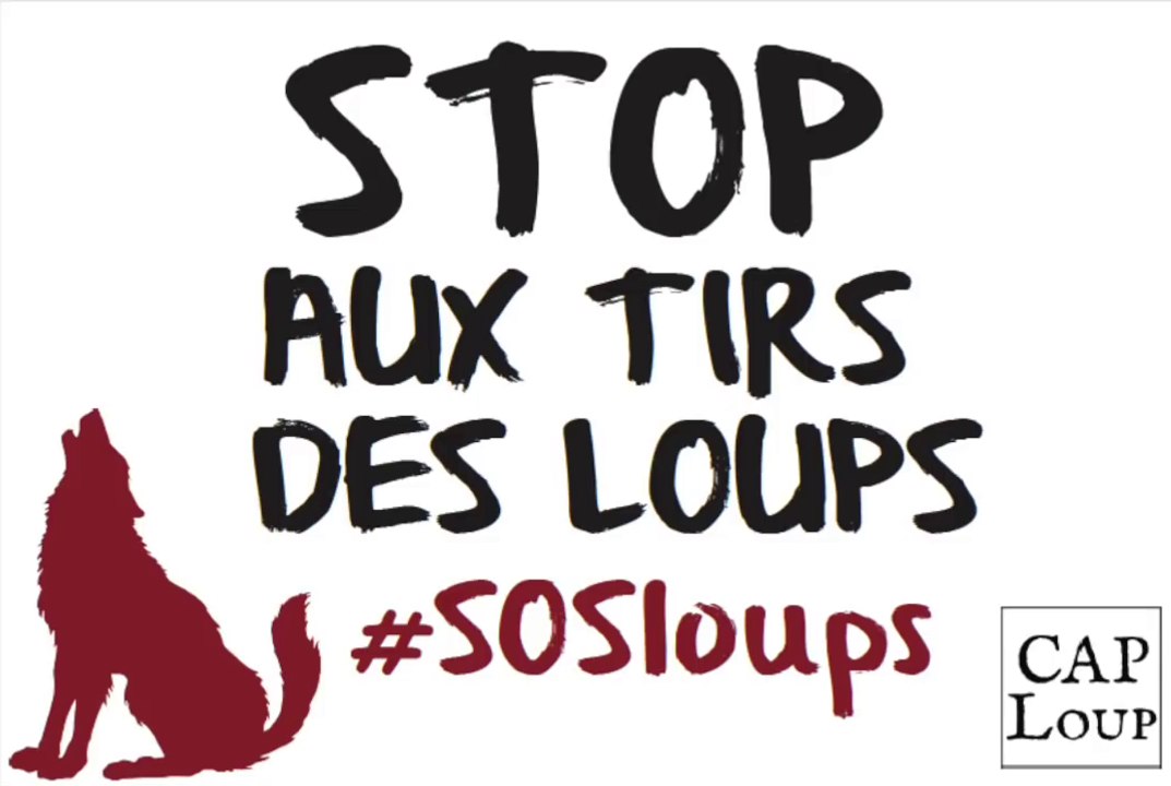 #SOSloups - Stop aux tirs des loups