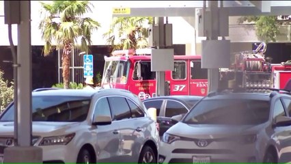 Dozens of Students Stung by Swarm of `Angry` Bees at California High School