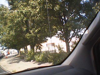 Downtown Pittsburgh near Heinz Stadium