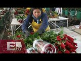 Las flores colombianas serán protagonistas en San Valentín / Titulares