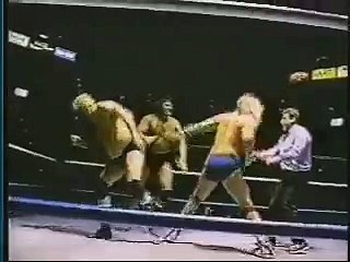 Barry Windham Mike Rotundo vs Adrian Adonis Dick Murdoch