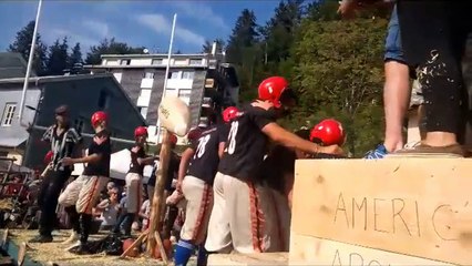 Adobe Spark Video (3)