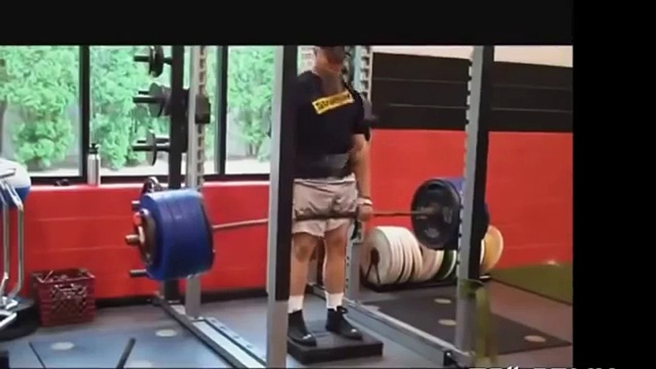 Funny Videos 2017