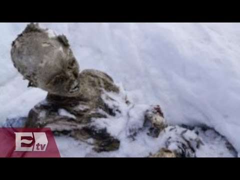 Planean rescate de alpinista congelado en Pico de Orizaba / Excélsior informa