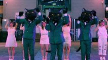 「ネコふんじゃった」がダンスミュージックに！美女ネコ軍団も踊る！ミュージックビデオ「NEKO FUNJATTA | Dancing Black Cats」
