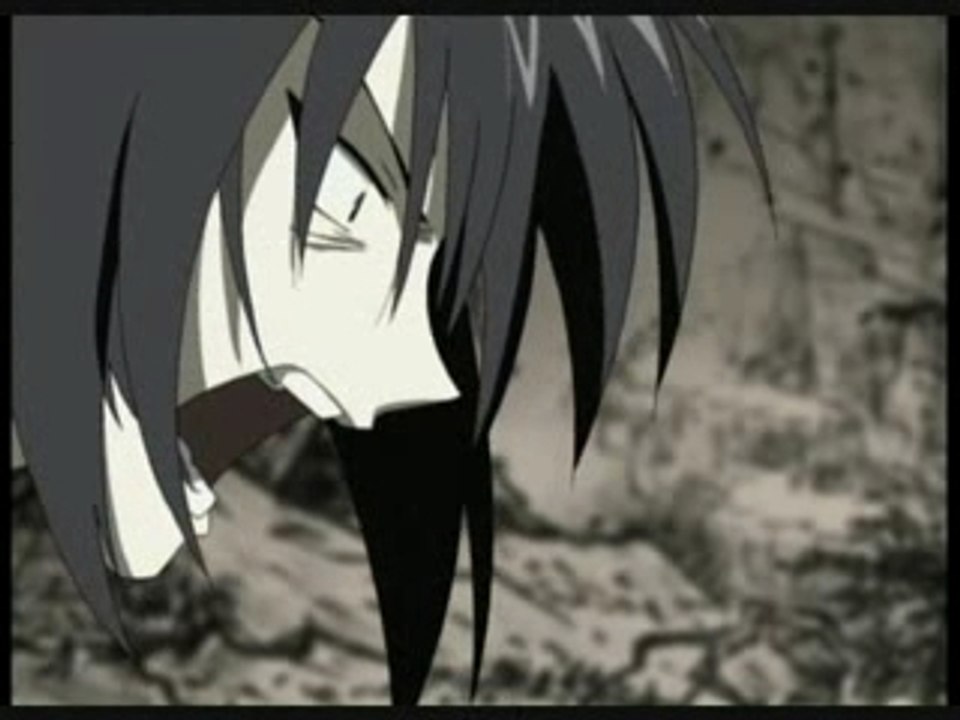 Cassis - Fruits basket