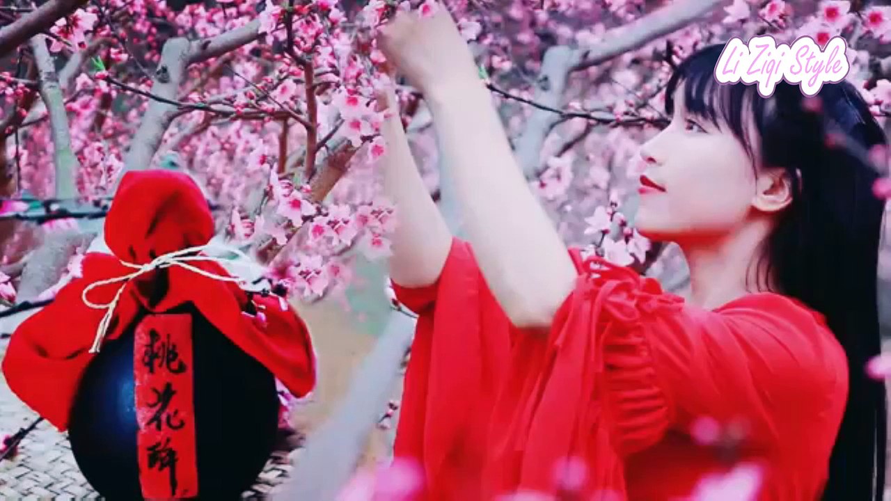 Li zi qi 李子柒 | Chinese Wine | How to make Sakura wine? I want to be drunk! Chinese Food