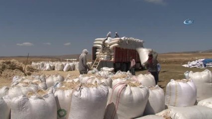 Sivas'ta Çiftçilerin Kışlık Saman Hazırlıkları Sürüyor