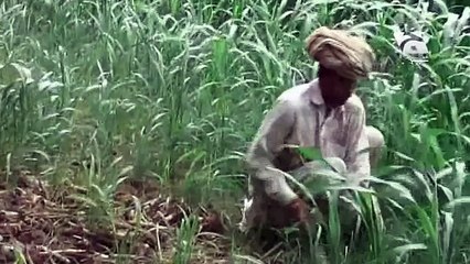 Shetaan On Khoota choor Funny Tezabi Totay Punjabi