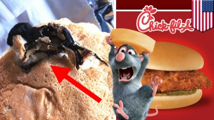 Woman finds rat baked into bun of Chick-fil-A chicken sandwich