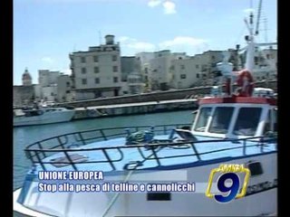 UNIONE EUROPEA | Stop alla pesca di telline e canolicchi