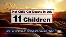 Hot Car Deaths New Law Would Require Car Makers To Build Alarm Systems  NBC Nightly News