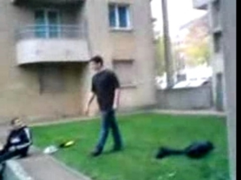 jackass junior
