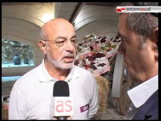 TG 26.08.11 Noicattaro: meeting internazionale su uva, varietà Arra