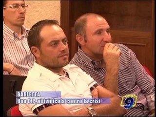 BARLETTA | Una O.P. vitivinicola contro la crisi