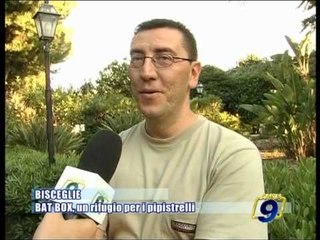 BISCEGLIE | BAT BOX, un rifugio per i pipistrelli