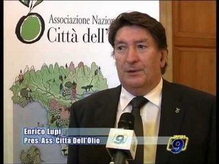 ANDRIA | Città dell'Olio nel vivo