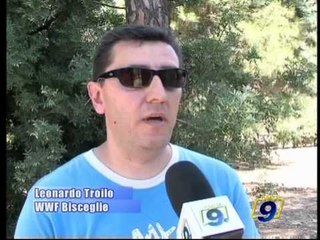 BISCEGLIE | Progetto riqualificazione giardino botanico