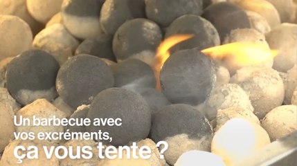 Du caca utilisé comme combustible au Kenya