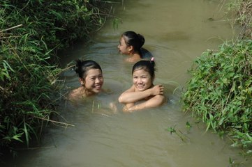 Bắt cá suối bằng lá cây rừng