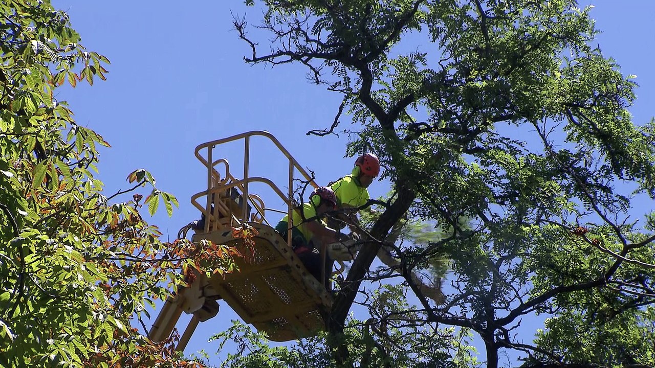 Agua y transporte público son los servicios municipales mejor valorados