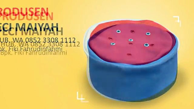 HUB- 0852 3308 1112 (TSEL), Agen Peci Surabaya, Agen Grosir Peci, Agen Peci Jogja (1)