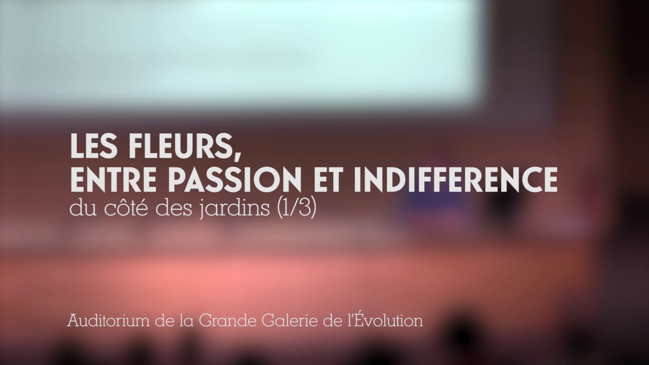 Les fleurs entre passion et indifférence (1/3)