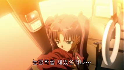 페이트 스테이 나이트 25