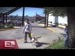 Discriminan a persona sorda en Yucatan  / Vianey Esquinca