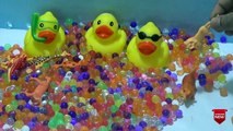 Ducks and Jelly Balls Learn Numbers in Ducks Toy for Kids & Colors for Children