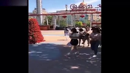 If it were not filmed, no one would believe it! 2017 (1)