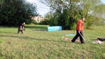 L'impressionnant entraînement de la brigade canine de Chalon sur Saône