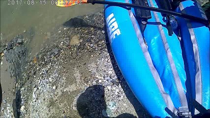 20170813ナラヨシ