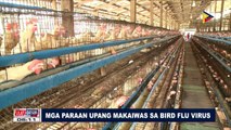 Mga paraan upang makaiwas sa bird flu virus