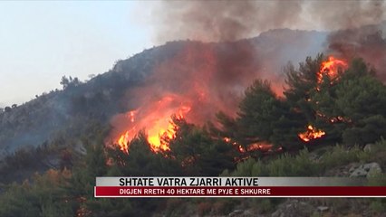 Download Video: Shtatë vatra zjarri aktive, digjen rreth 40 hektarë me pyje e shkurre - News, Lajme - Vizion Plus