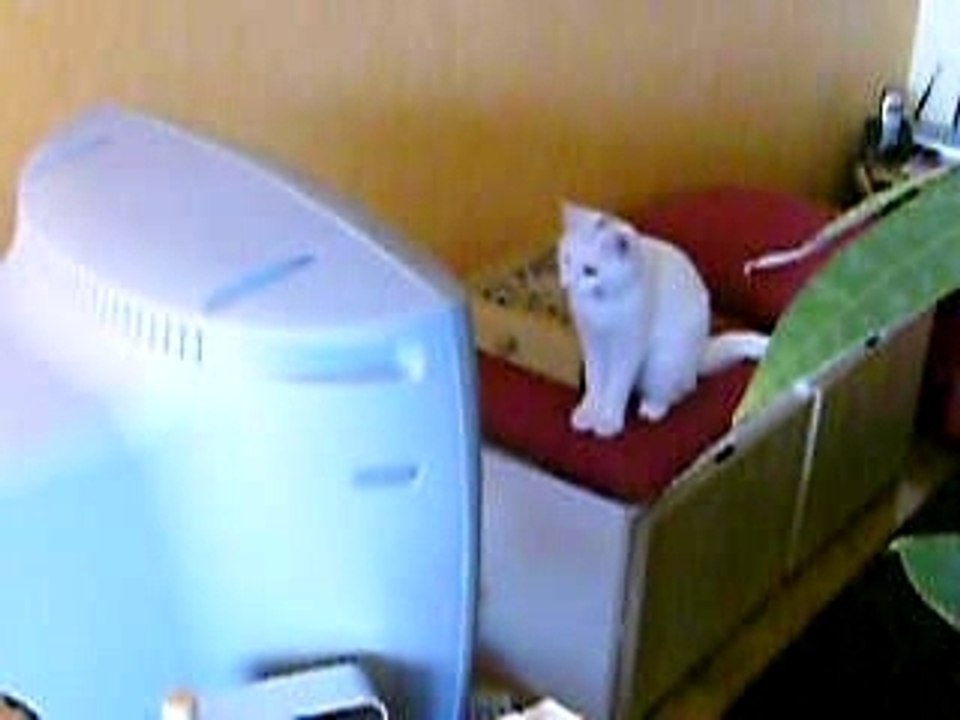 Charlie tu regardes trop la Télé !!!