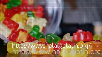 Importance Of Halal Gelatin