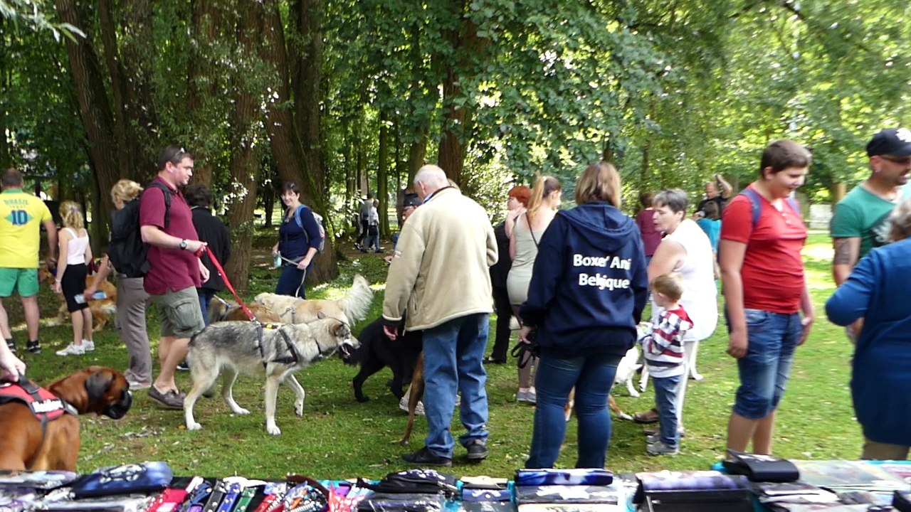 La Journée du chien - 1