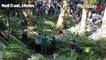 Portugal : la chute d’un arbre fait 13 morts