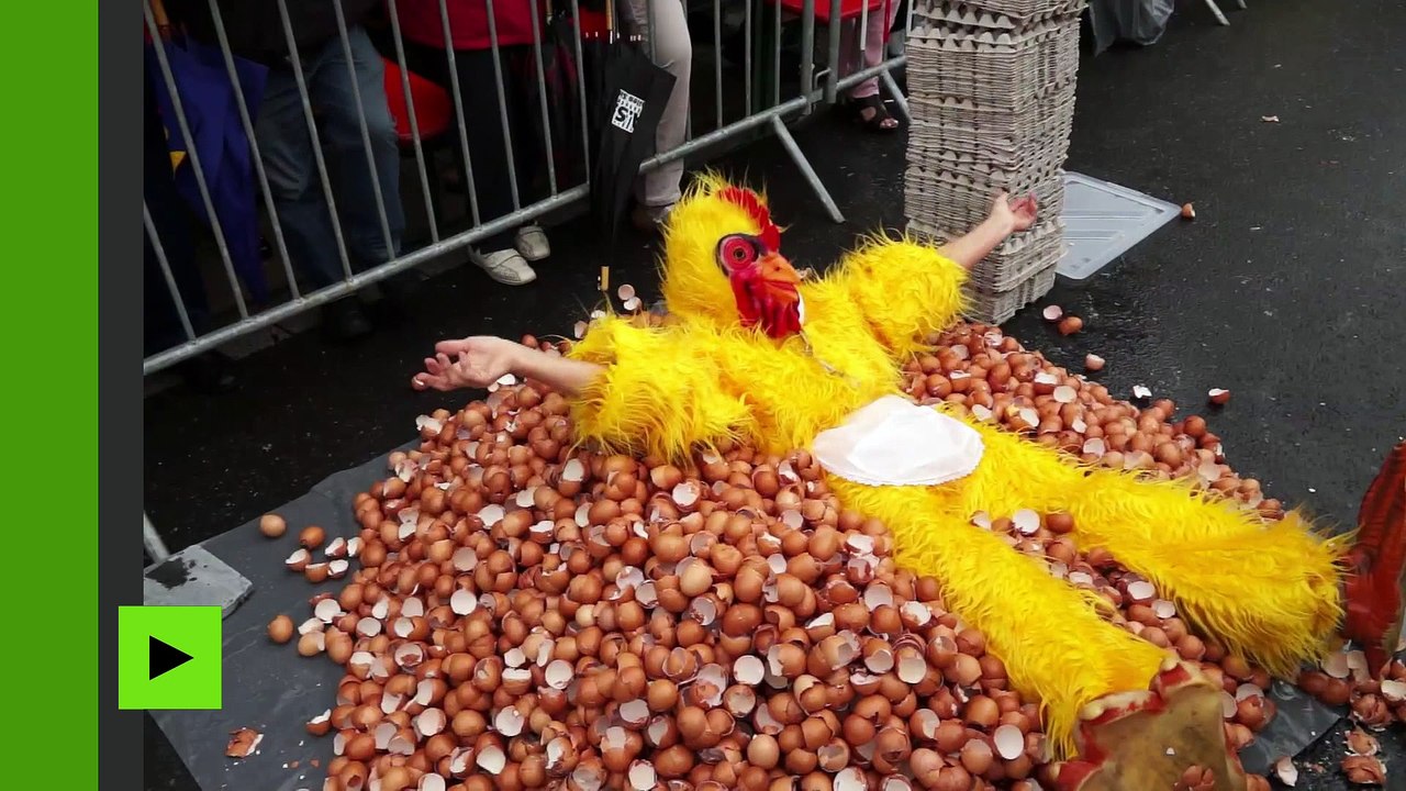 Belgique : une omelette géante de 6 500 œufs en plein scandale du fipronil à Malmedy