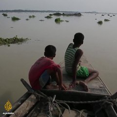 Elephants helped rescue 600 people from floods in Nepal