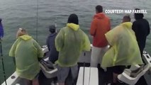 Les images impressionnantes de deux gros requins qui surgissent autour du même bateau, dans la même journée ! - VIDÉO