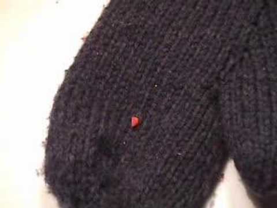 Jeremy Fisher - Jolene