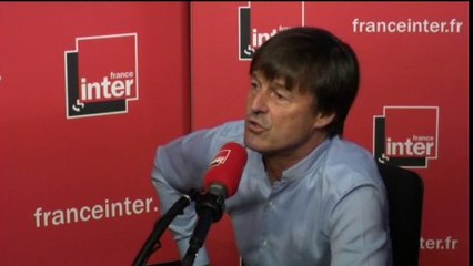 Nicolas Hulot : "Je ne suis pas favorable à la captivité des animaux"