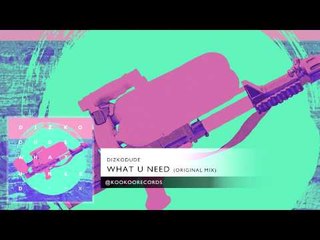 Dizkodude - What U Need (Original Mix)