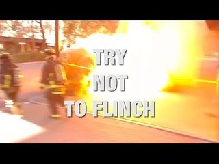 Try not to Flinch at These Utterly Terrifying Encounters