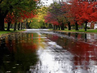 Eros Rain - Chris Spheeris