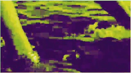 Sia -Chandelier ( No Copyright Music ). - 360p