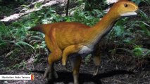 ‘Frankenstein’ Dinosaur Could Be The ‘Missing Link’ Between Plant And Meat Eaters